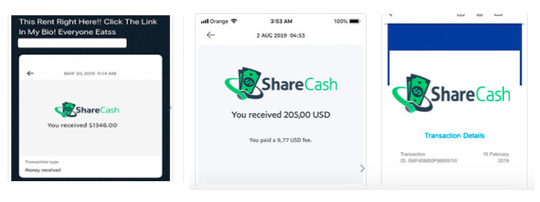 What Is Share Cash - Is Big Cash Shared Here?