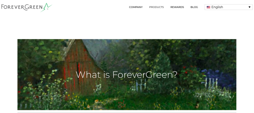What Is Forevergreen International?