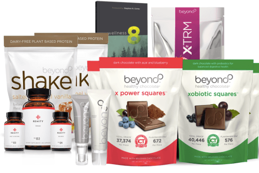 Well Beyond Review - Can This MLM Help You Make Big Money?