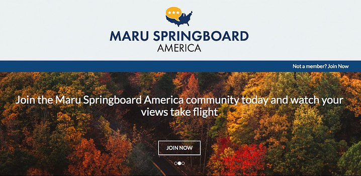 Springboard America Surveys