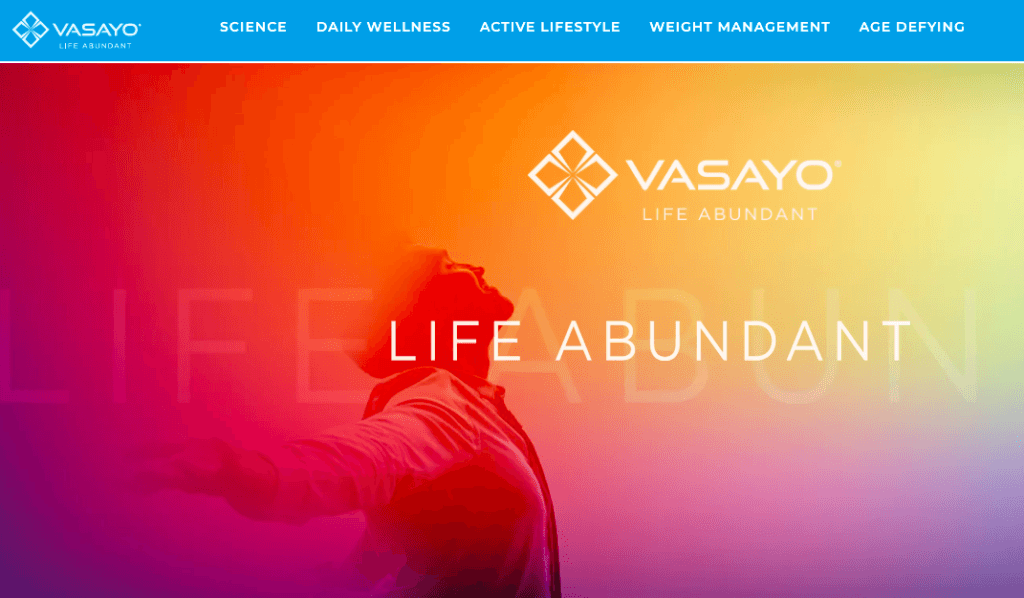 What Is The Vasayo Opportunity - Is It Right For You?